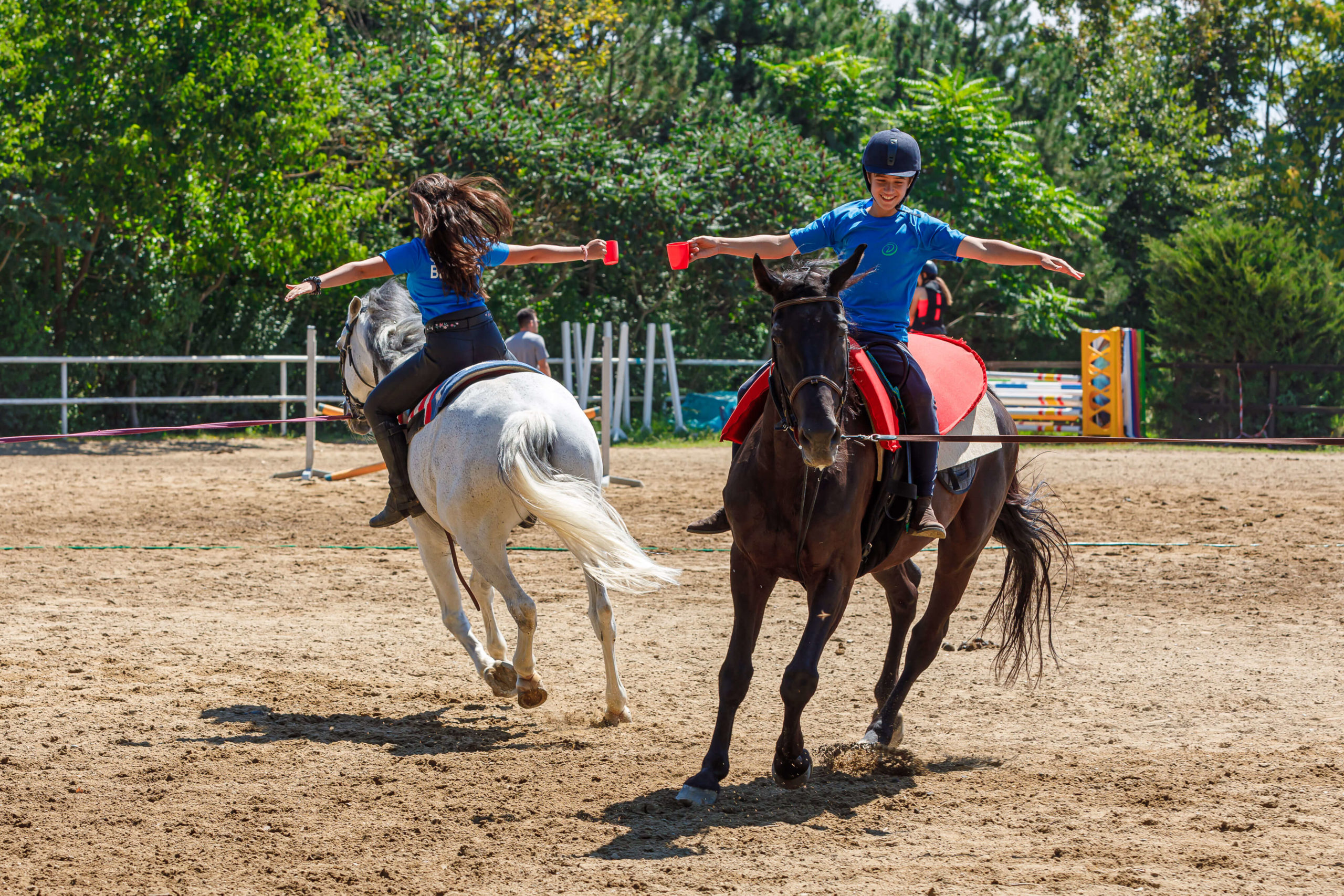 mersurile calului antrenament la lonja scoala batesaua