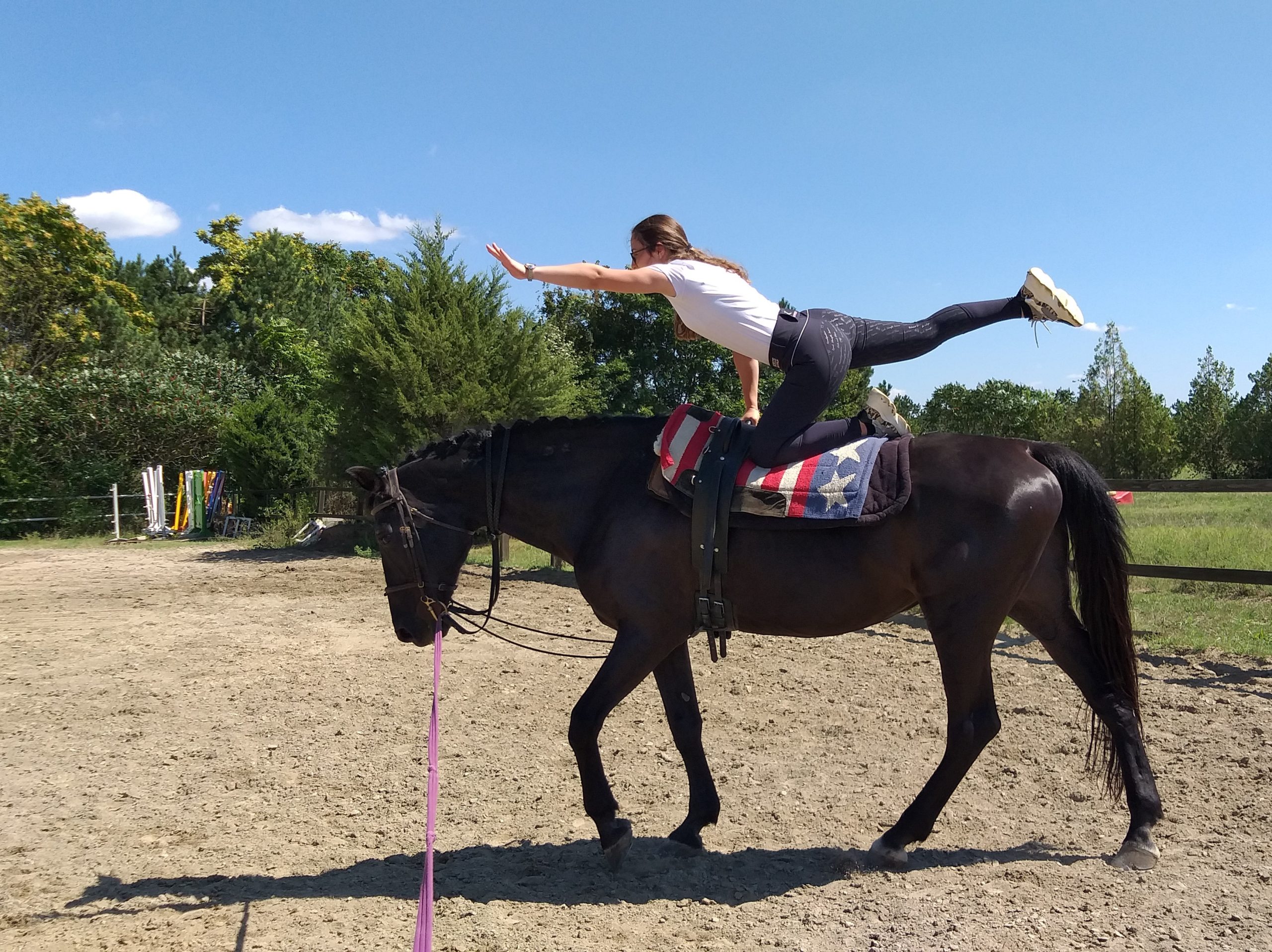 instructor ecvestru echitatie voltije geo batesaua