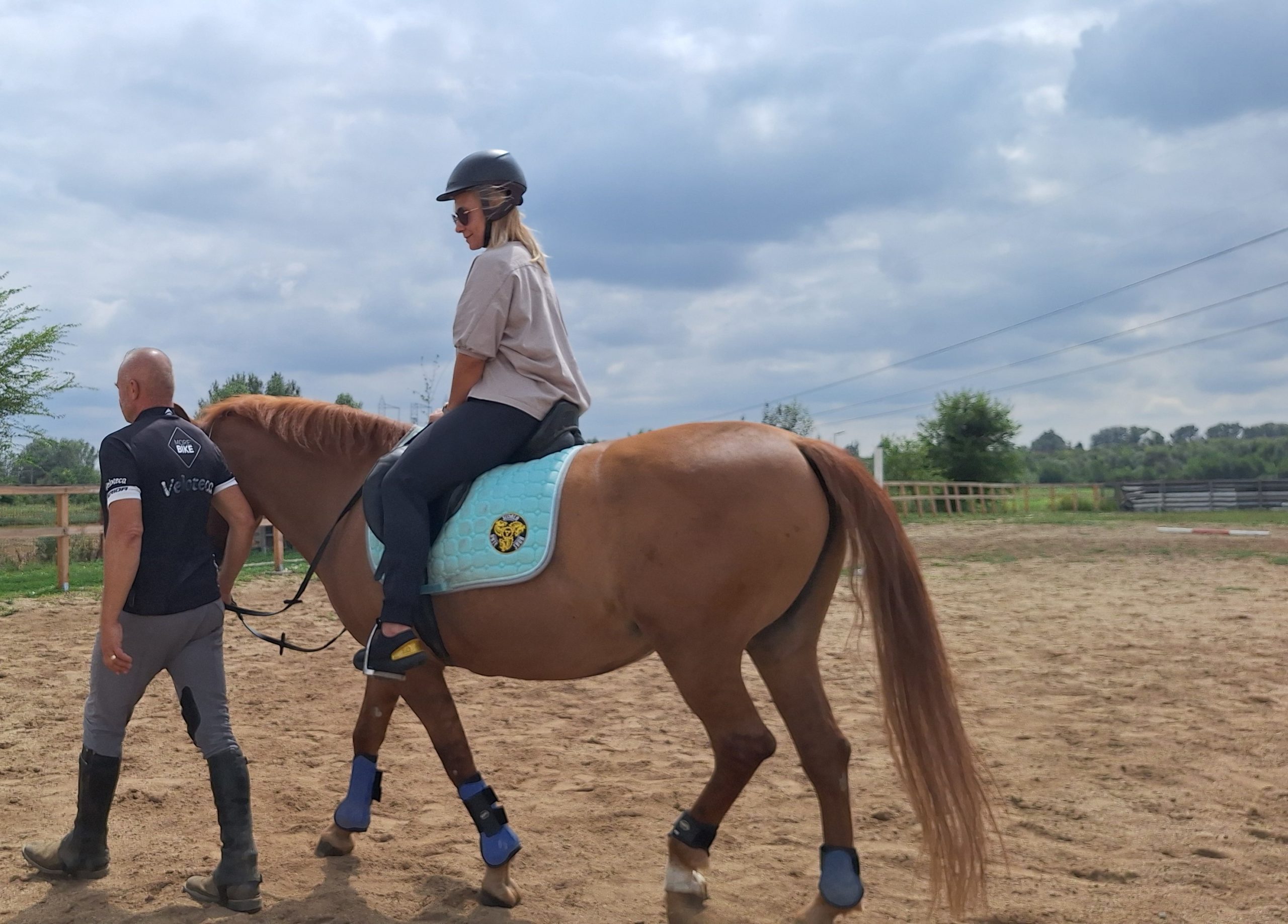 totul despre ponei la Scoala BateSaua