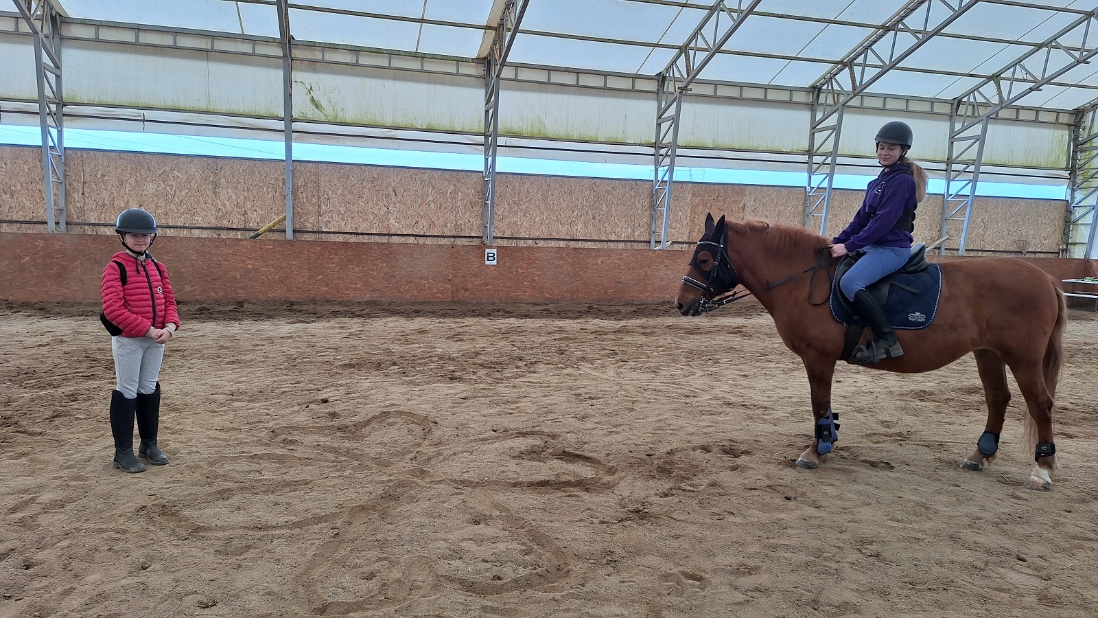 ponei la scoala batesaua